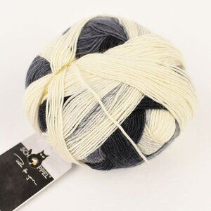 Schoppel Zauberball Yarn Wool Nylon Blend Made in Germany Schatten Colorway